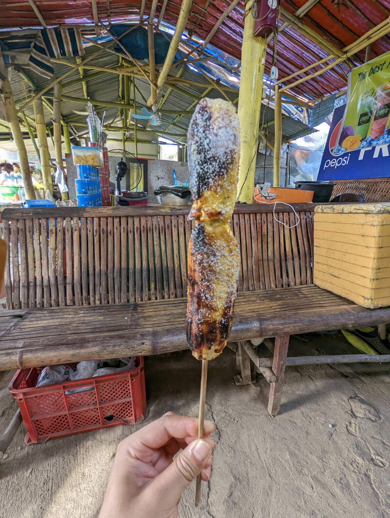 フィリピン留学 Cebu21 - Curious World Academy-Cebu city sightseeing-31